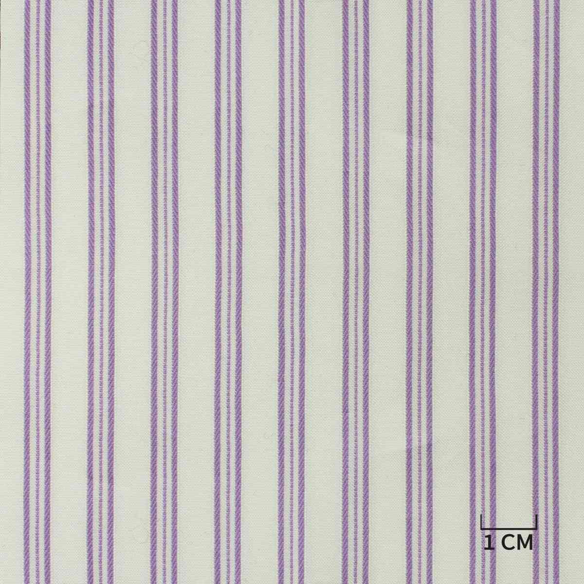 [H10490] WHITE, PURPLE STRIPES