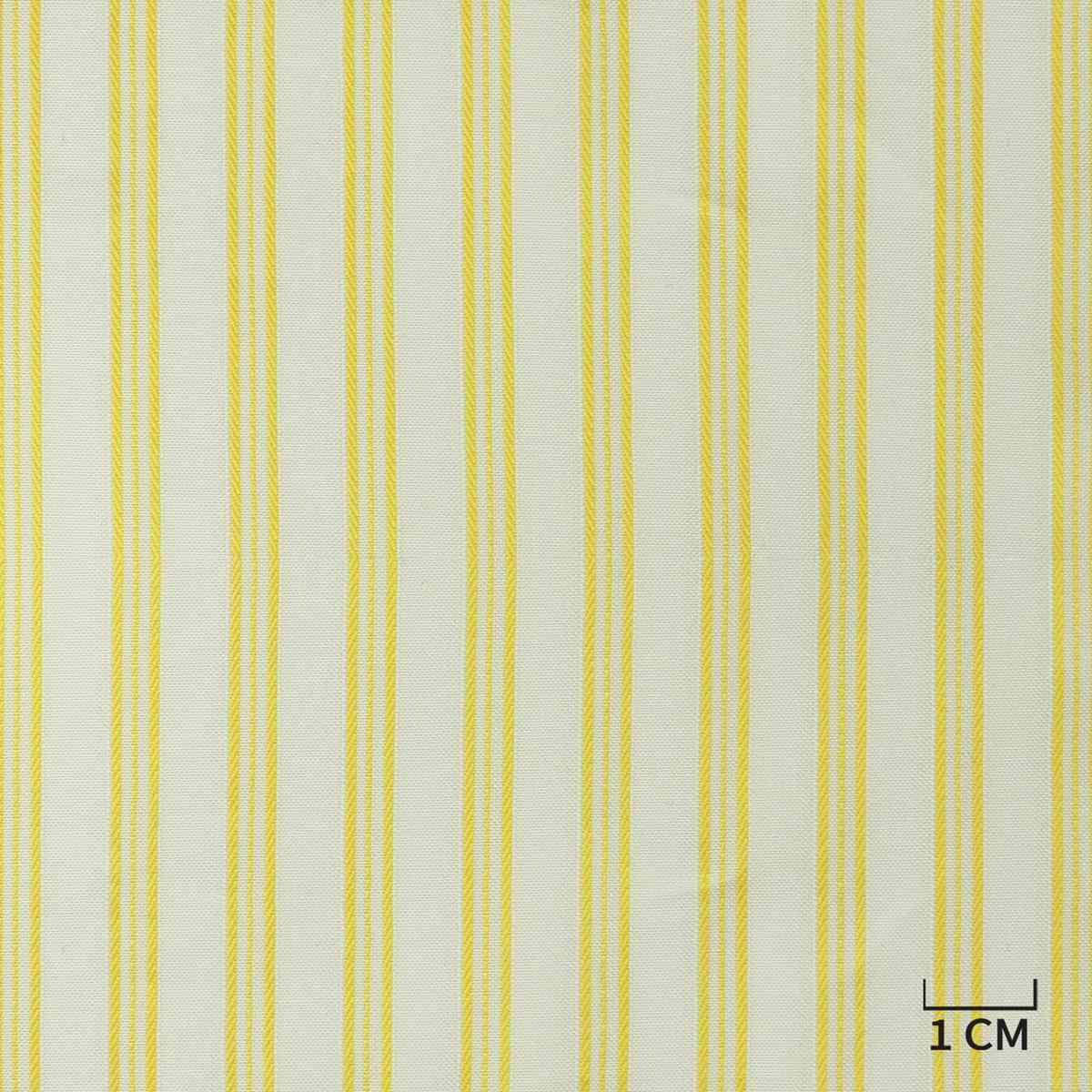 [H10492] WHITE, YELLOW STRIPES