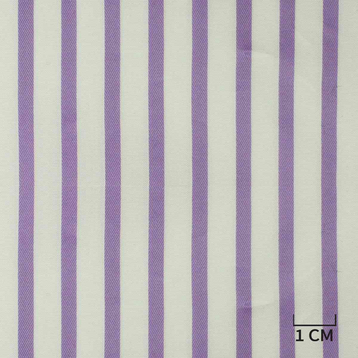 [H10498] WHITE, PURPLE STRIPES