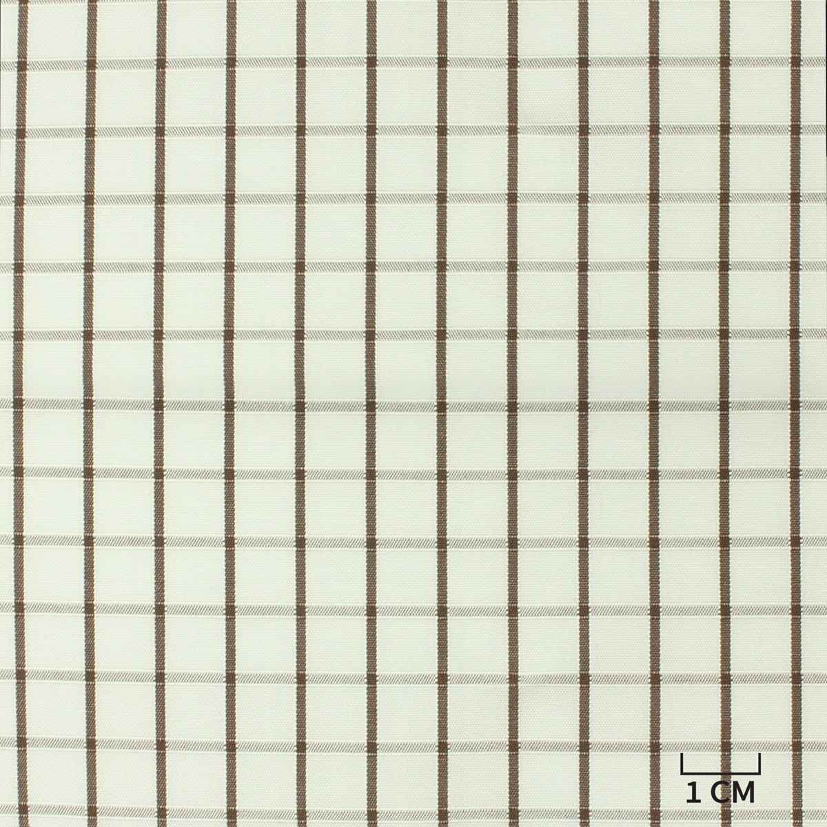 [H10512] WHITE, BROWN CHECKS
