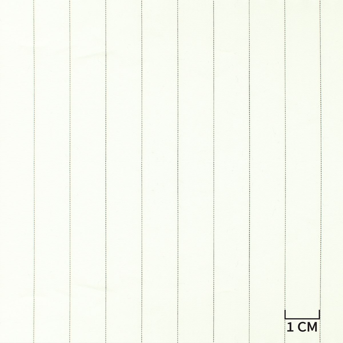[H10521] STRIPES