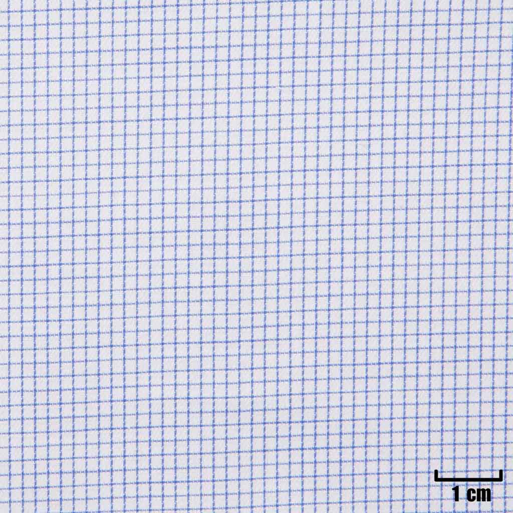 [H11204] WHITE, SMALL BLUE CHECKS