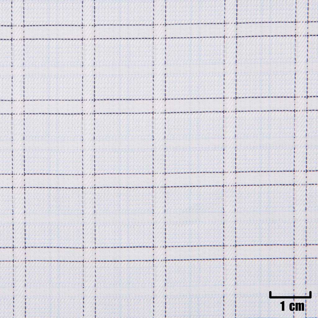 [H11249] WHITE, BLUE CHECKS