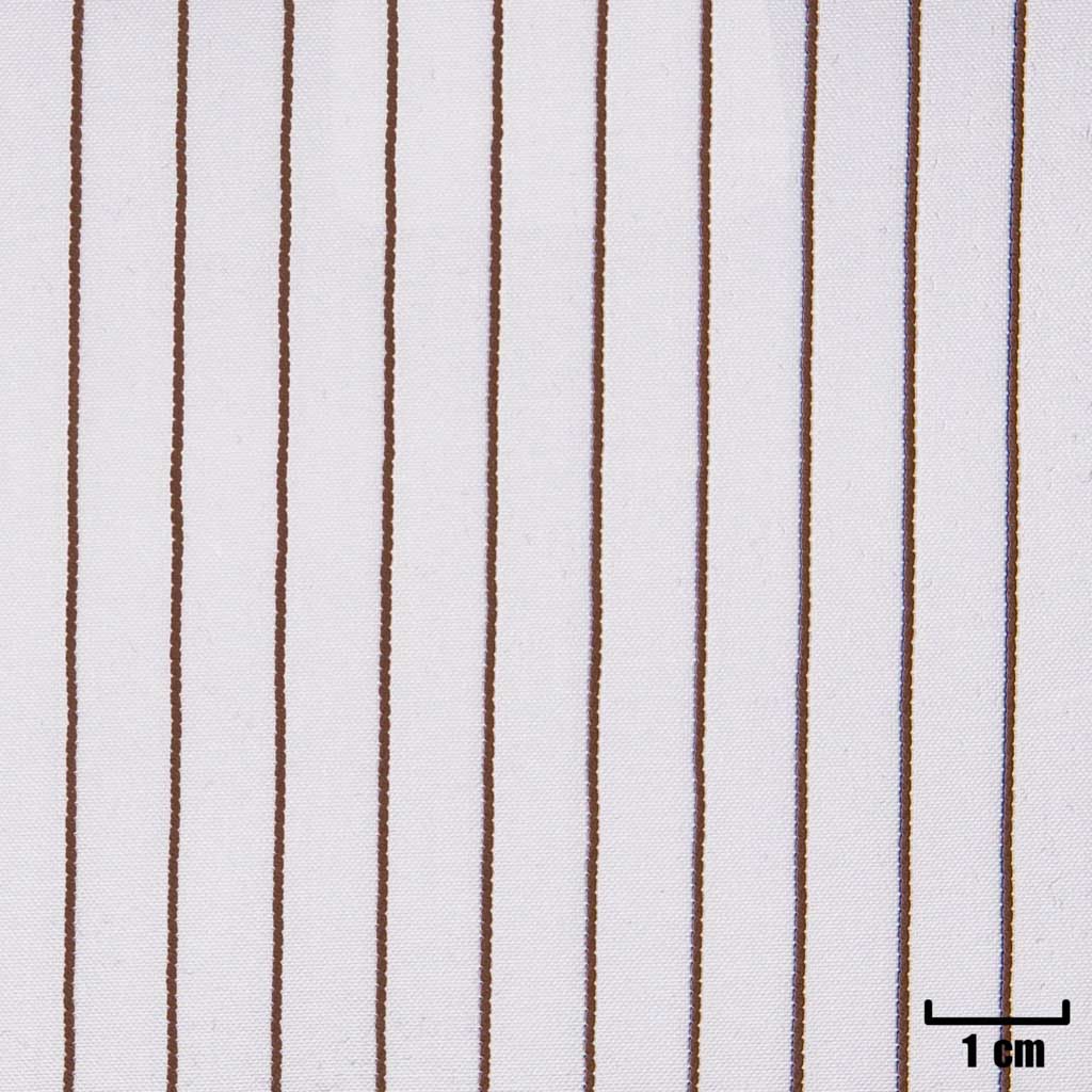 [H11284] WHITE, BROWN STRIPES