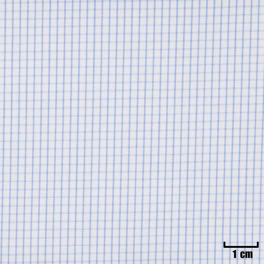 [H11356] WHITE, SMALL BLUE CHECKS