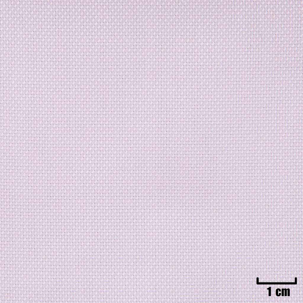 [H11369] PURPLE, DOTTED PATTERN
