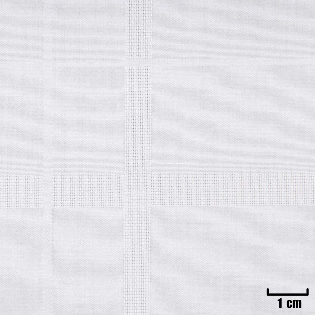 [H11372] WHITE, WIDE CHECKS