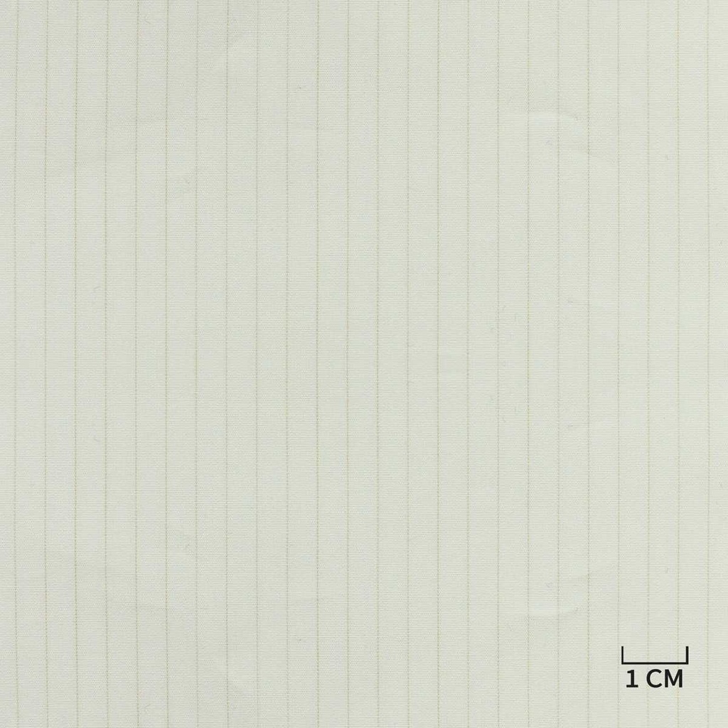 [A829] 白色与棕褐色条纹