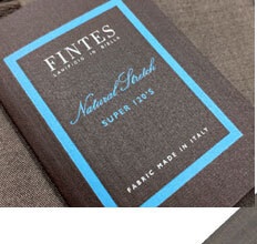FINTES